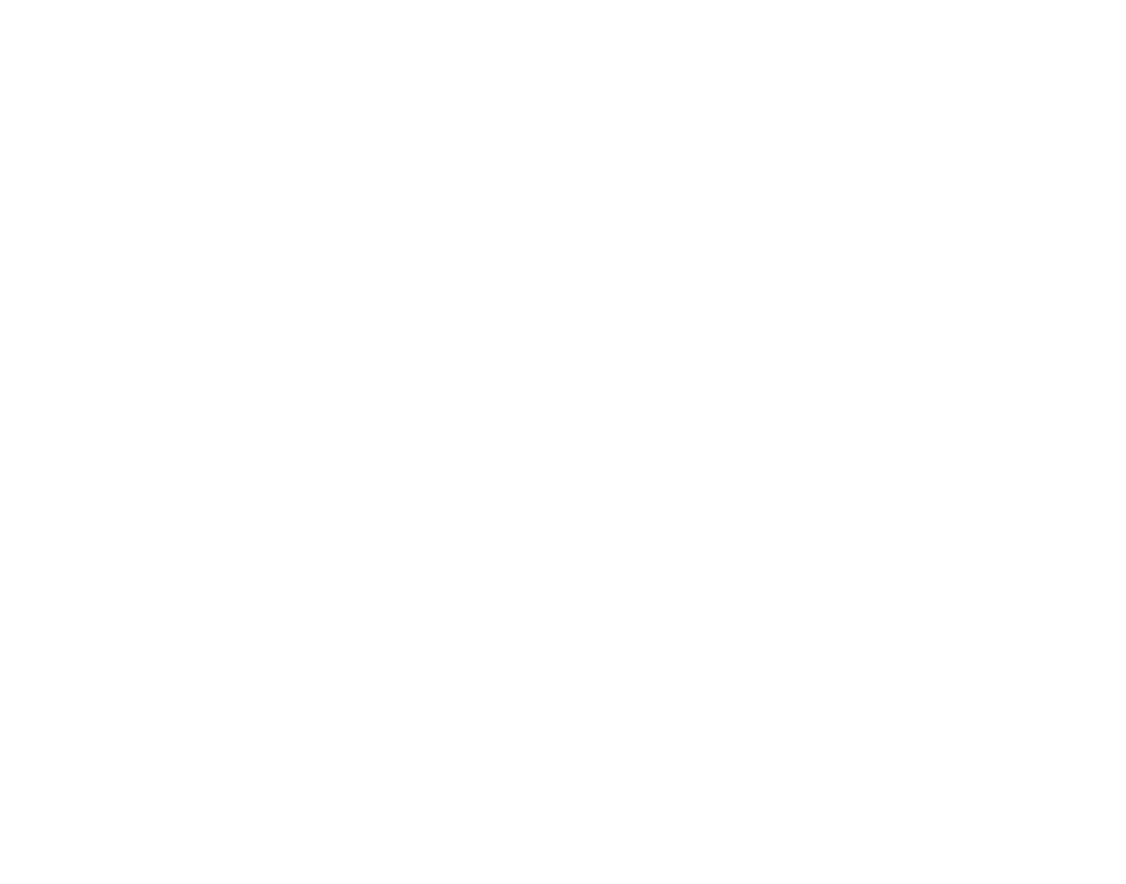 Diament Forbesa 2025